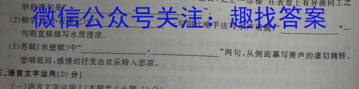 金考卷2023年普通高等学校招生全国统一考试 新高考卷 押题卷(一)语文