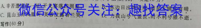 皖智教育安徽第一卷·省城名校2023年中考最后三模(三)语文