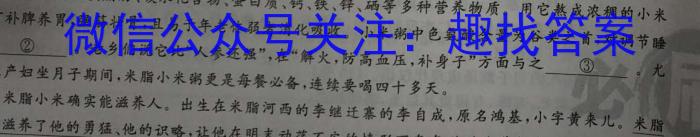 陕西省2023年初中学业水平考试模拟试题（二）语文