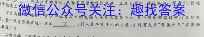 金科大联考高三2022~2023学年5月份模拟考(新教材)语文