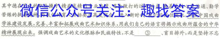 2022~2023学年河北省高三年级下学期4月份联合考试(23-410C)语文