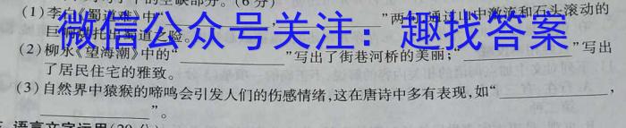 2023年普通高等学校招生全国统一考试压轴卷(T8联盟)(一)语文