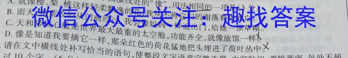 安徽省2023届九年级下学期教学质量检测（六）语文