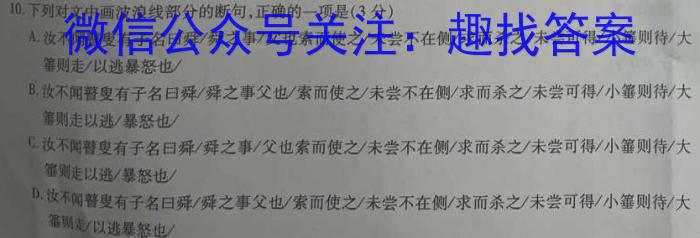 2023年湖南省普通高中学业水平合格性考试仿真试卷(专家版四)语文