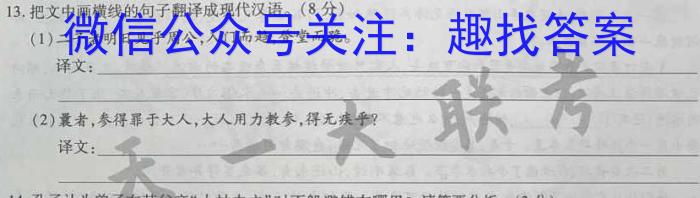 2023年山西省初中学业水平测试靶向联考试卷（一）语文