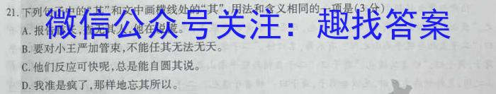 金考卷2023年普通高等学校招生全国统一考试 新高考卷 押题卷(七)语文