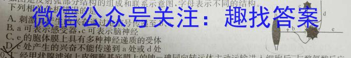 2024-2023学年安徽省九年级下学期阶段性质量监测（七）生物