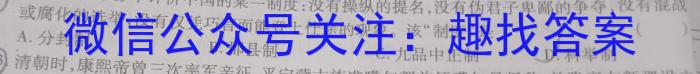 “天一大联考·安徽卓越县中联盟” 2022-2023学年(下)高二年级阶段性测试(期中)历史