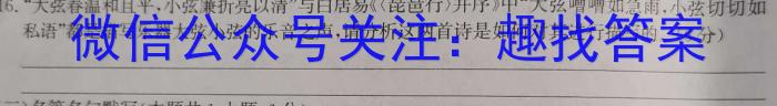 江淮名卷·2023年安徽中考押题卷(一)1语文