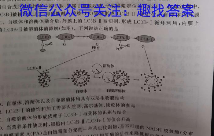 安徽省2023年无为市九年级中考模拟检测（二）生物