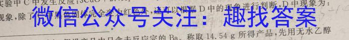 XCS2023年河南省第一次中招模拟考试试卷化学