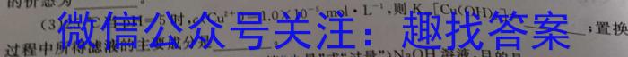 安徽省合肥市庐江县2023届初中毕业班第二次教学质量抽测化学