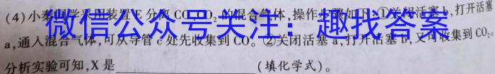 衡水金卷广东省2023届高三年级4月份大联考化学