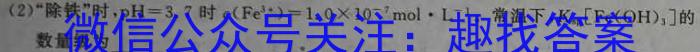 2023年陕西省初中学业水平考试·全真模拟（五）化学