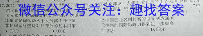 安徽省芜湖市无为市2022-2023学年九年级中考模拟检测（一）s地理