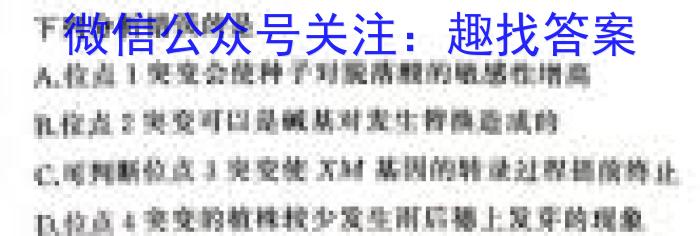 [宝鸡三模]陕西省2023年宝鸡市高考模拟检测(三)生物