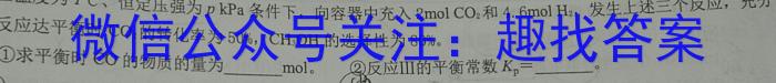 江西省萍乡市2023年九年级学业水平模拟考试化学