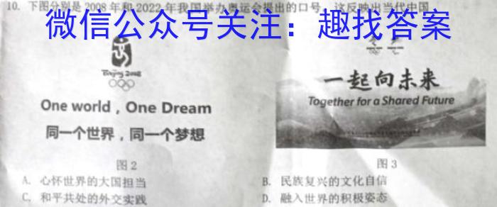 贵州省西南名师联盟2023届高考实用性联考卷(四)(黑白白黑黑白黑)历史