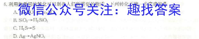 安徽省2023年合肥名校联盟中考内部卷二化学