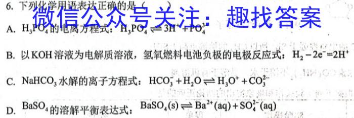 安徽省芜湖市无为市2022-2023学年九年级中考模拟检测（一）化学