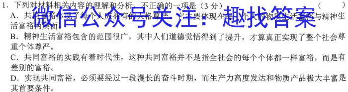 安徽省2023年九年级检测二语文