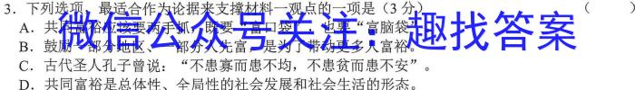 湖北省2022-2023学年度下学期期中新洲区部分学校高中二目标检测语文