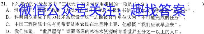 圆创联考·湖北省2023届高三五月联合测评语文