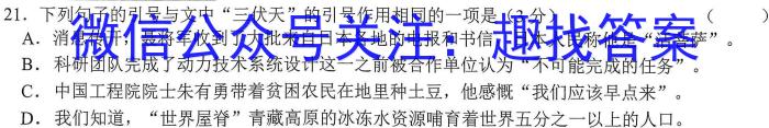 江淮名卷·2023年安徽中考模拟信息卷(七)语文