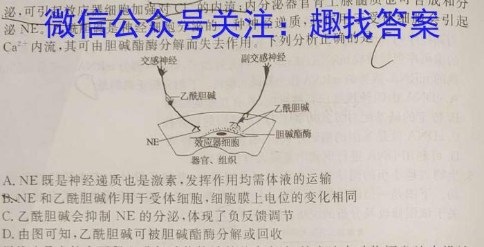 2023衡水金卷先享题压轴卷答案 新高考B一生物