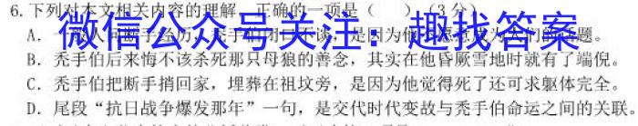 2022~2023学年河北省高三年级下学期4月份联合考试(23-410C)语文