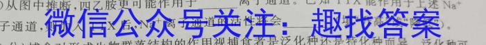 2023年普通高等学校招生全国统一考试信息模拟测试卷(新高考)(二)生物