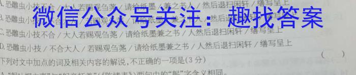 厦门市2023届高三毕业班第三次质量测试语文