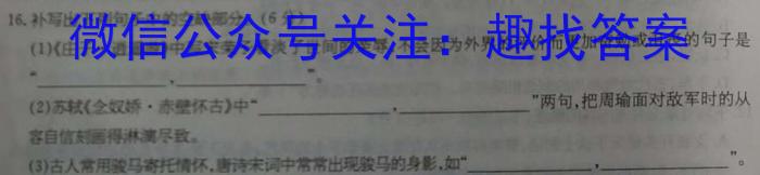 2023年安徽省中考冲刺卷（二）语文