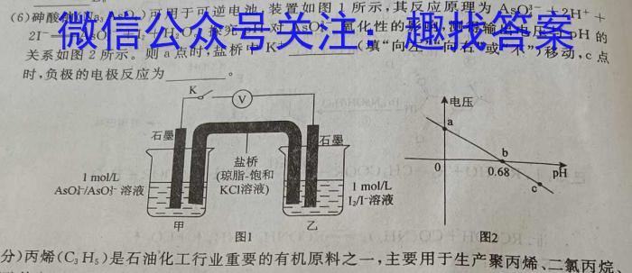 世纪金榜 2023年高考密破考情卷 新高考版(一)化学