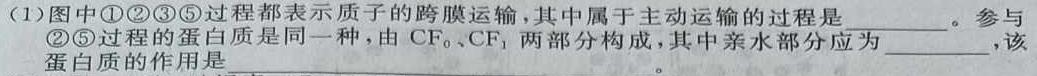 2023届名校之约·中考导向总复习模拟样卷 二轮(五)生物