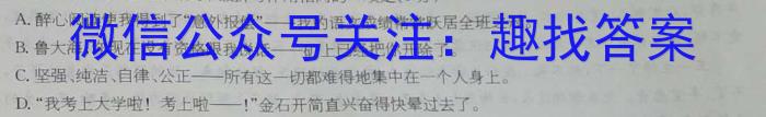 江西省2023-2024学年度初三模拟巩固训练（三）语文