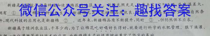 2023年陕西省初中学业水平考试·冲刺压轴模拟卷（二）语文