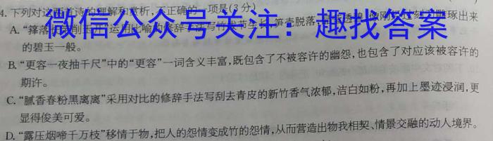 天一大联考2022-2023学年(下)高二年级期中考试语文