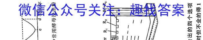 伯乐马 2023年普通高等学校招生新高考模拟考试(五)生物