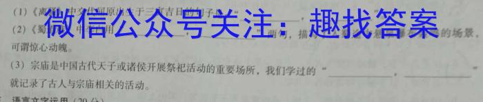 2023衡水金卷先享题压轴卷答案 新高考一语文