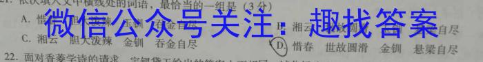 2023届名校之约·中考导向总复习模拟样卷 二轮(八)语文