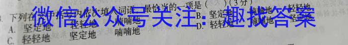 2023届蓉城名校联盟2020级高三第三次联考语文