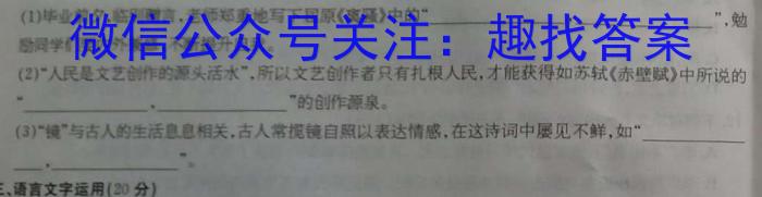 2023届衡水金卷先享题压轴卷答案 新教材二语文