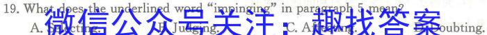 ［聊城二模］2023年聊城市高考模拟考试（二）英语
