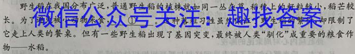 2023年高考考前最后一卷（全国乙卷）语文