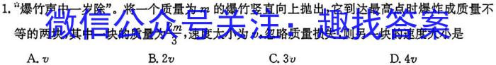 河北省卓越县中联盟2023年高二4月联考物理`