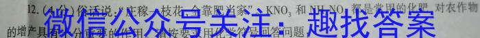 木牍&老庄大联考2023年4月安徽中考名校信息联考卷化学