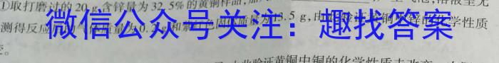 2023届名校之约·中考导向总复习模拟样卷 二轮(八)化学