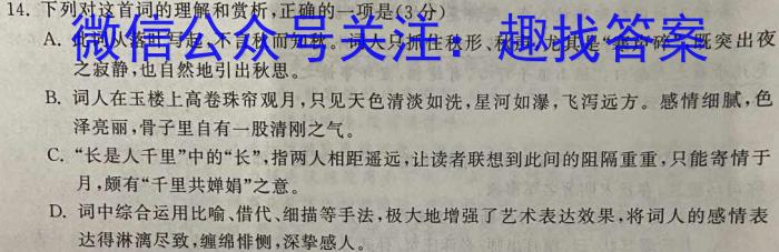 2023年辽宁大联考高二年级4月联考（23-398B）语文