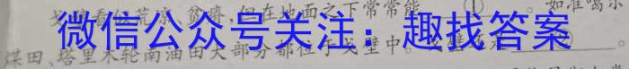 江西省九江市2023年初中学业水平考试复*试卷（一）语文